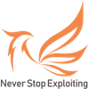 Never_Stop_Exploiting